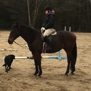 Meet your Posher, Delaney